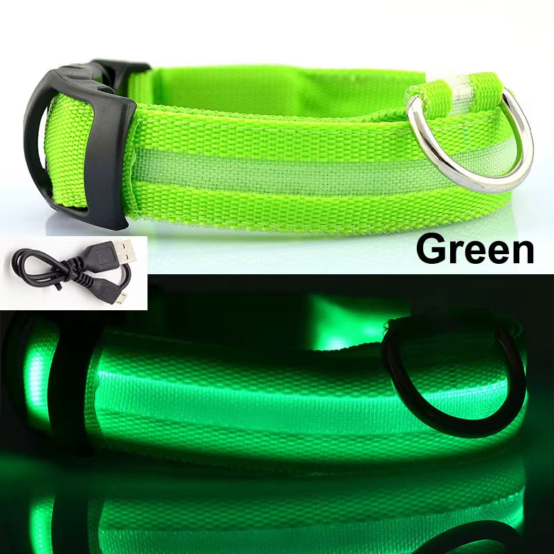 Usb Charging Led Dog Collar Safety Led Luminous Dog Pet Light up Collar Night Nylon Necklace Glowing Leads for Dogs Night Safety