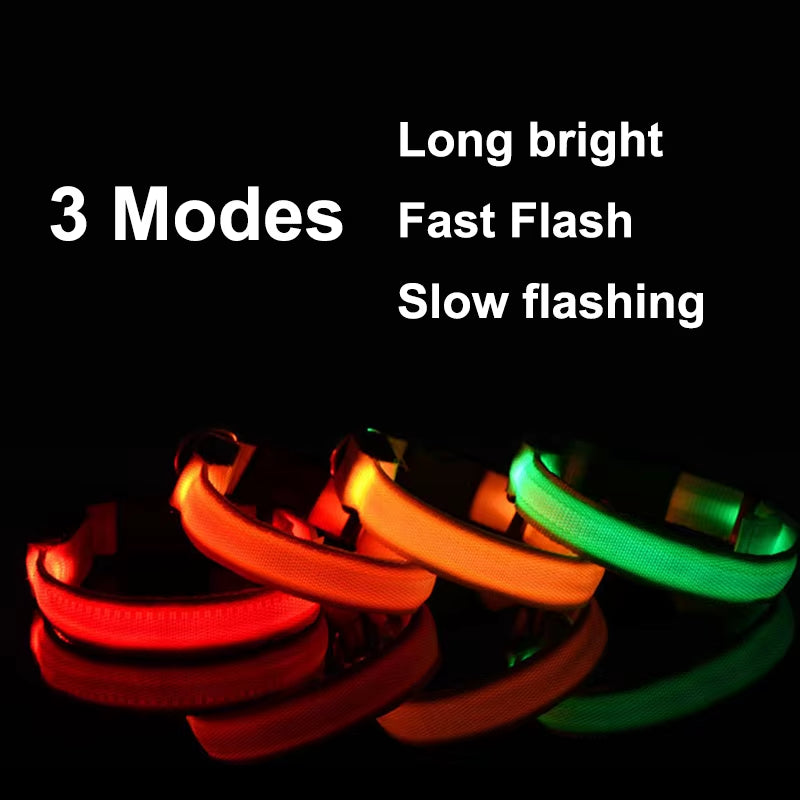 Usb Charging Led Dog Collar Safety Led Luminous Dog Pet Light up Collar Night Nylon Necklace Glowing Leads for Dogs Night Safety