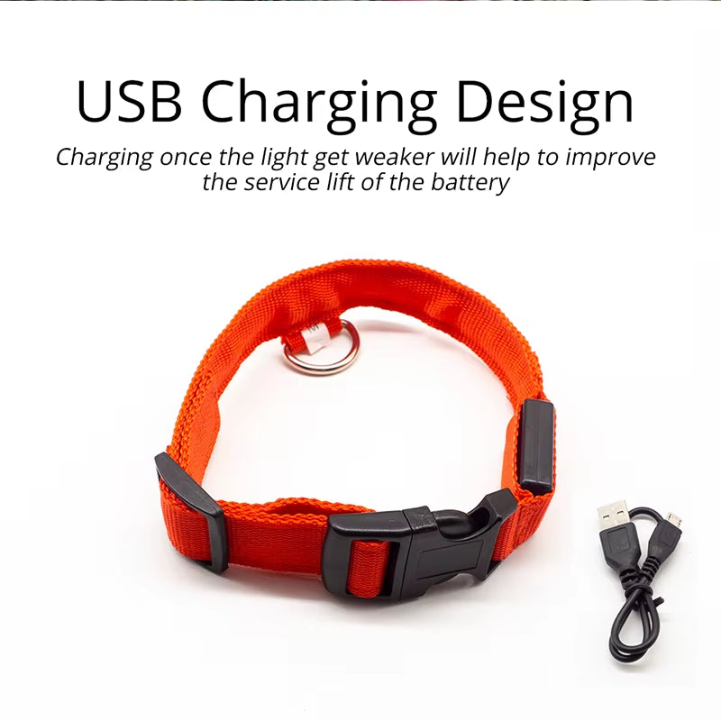 Usb Charging Led Dog Collar Safety Led Luminous Dog Pet Light up Collar Night Nylon Necklace Glowing Leads for Dogs Night Safety