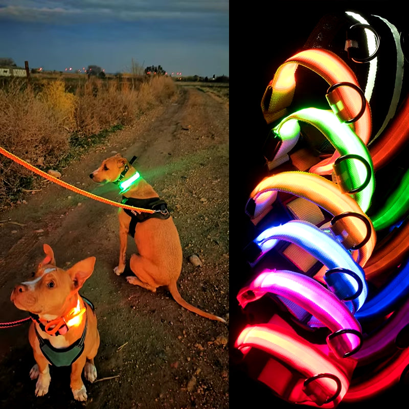 Usb Charging Led Dog Collar Safety Led Luminous Dog Pet Light up Collar Night Nylon Necklace Glowing Leads for Dogs Night Safety