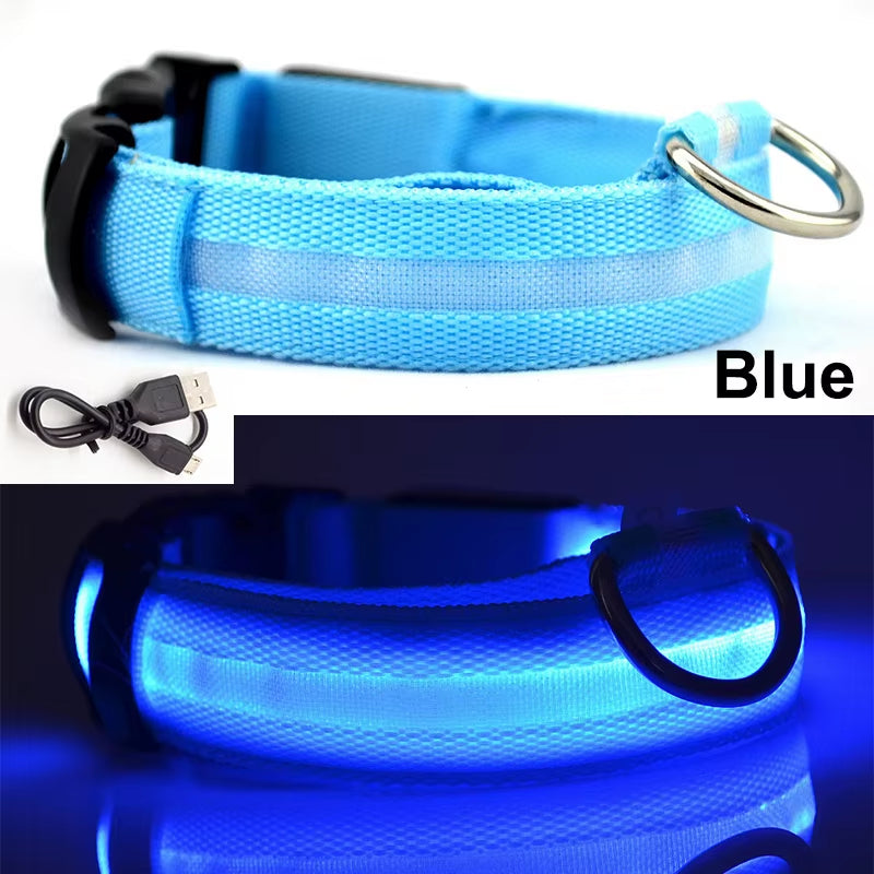 Usb Charging Led Dog Collar Safety Led Luminous Dog Pet Light up Collar Night Nylon Necklace Glowing Leads for Dogs Night Safety