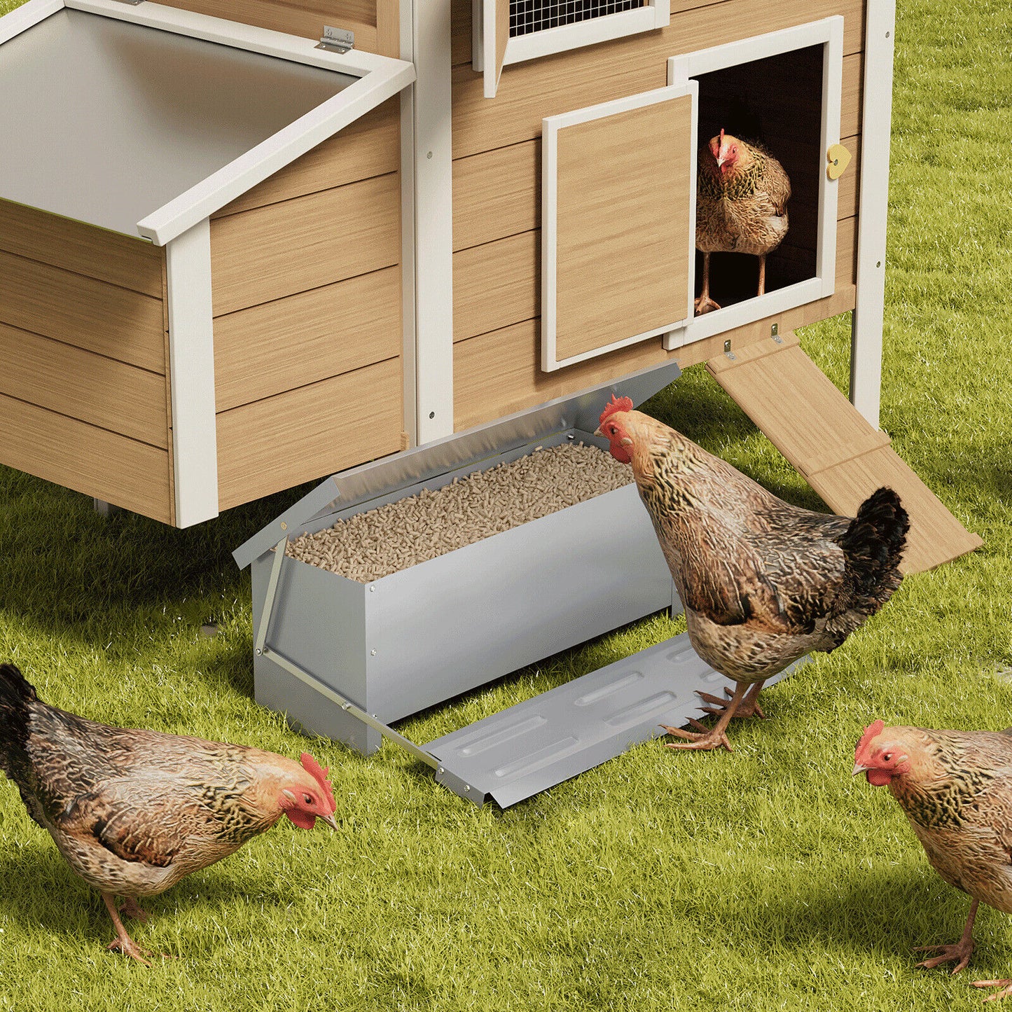 Automatic Chicken Feeder Galvanized Treadle Poultry Auto-Feeder Outdoor Garden