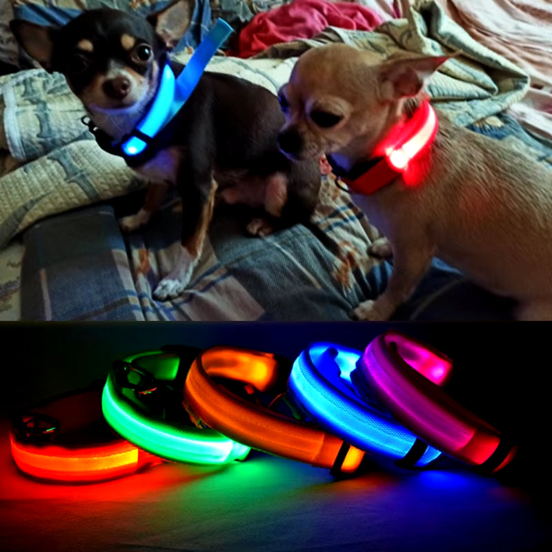 Usb Charging Led Dog Collar Safety Led Luminous Dog Pet Light up Collar Night Nylon Necklace Glowing Leads for Dogs Night Safety