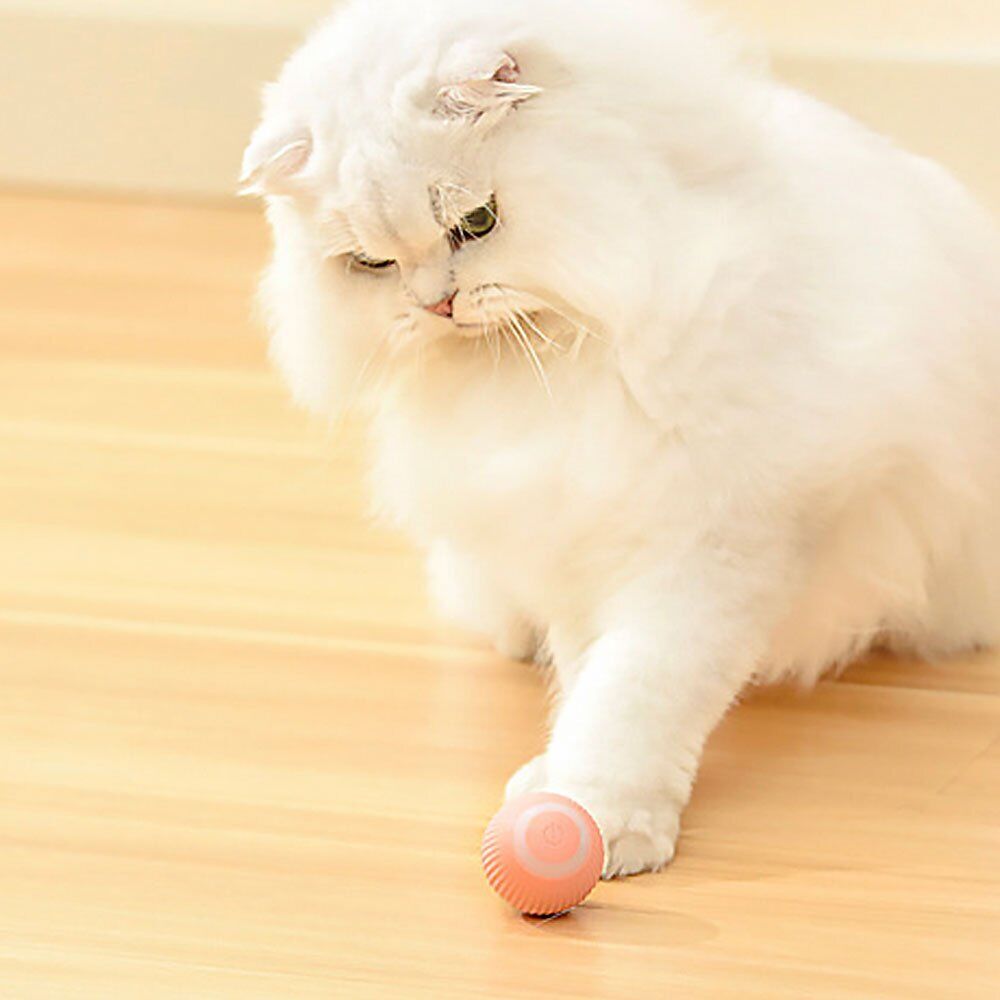 Power Ball 2.0 Cat Toy UK~