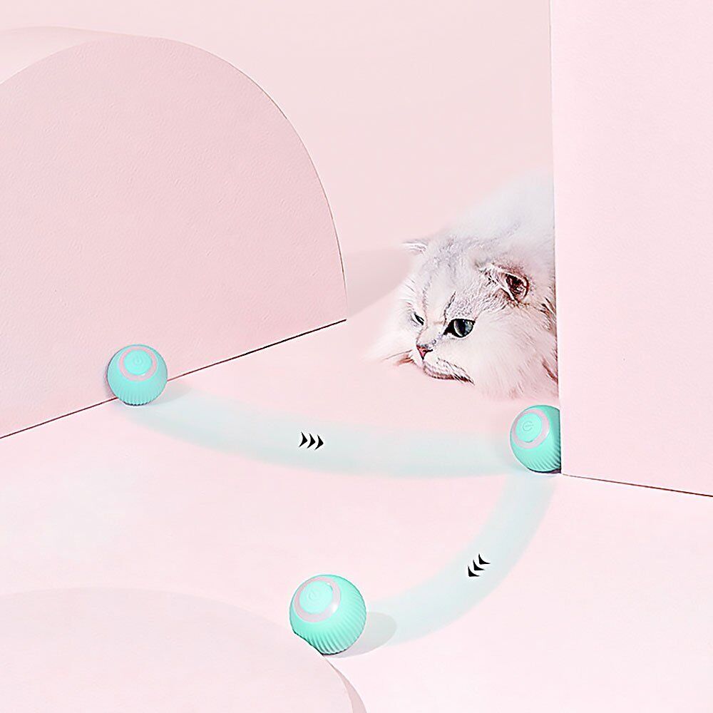 Power Ball 2.0 Cat Toy UK~