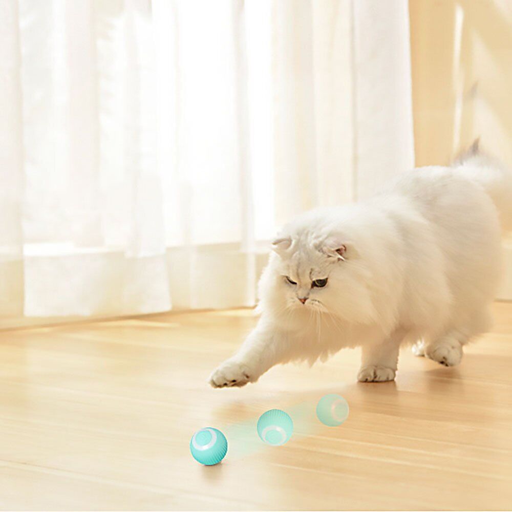 Power Ball 2.0 Cat Toy UK~