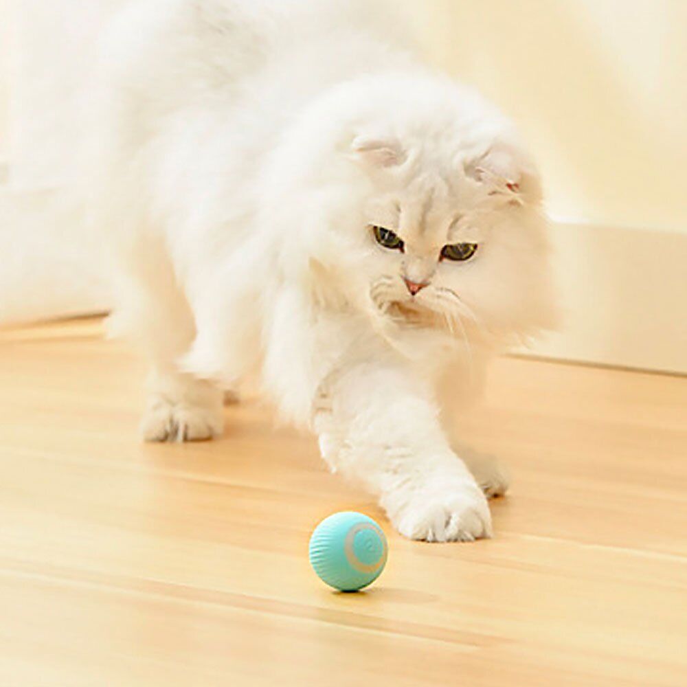 Power Ball 2.0 Cat Toy UK~