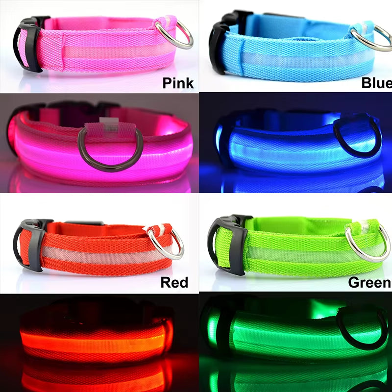 Usb Charging Led Dog Collar Safety Led Luminous Dog Pet Light up Collar Night Nylon Necklace Glowing Leads for Dogs Night Safety