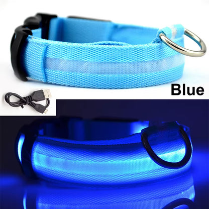 Usb Charging Led Dog Collar Safety Led Luminous Dog Pet Light up Collar Night Nylon Necklace Glowing Leads for Dogs Night Safety