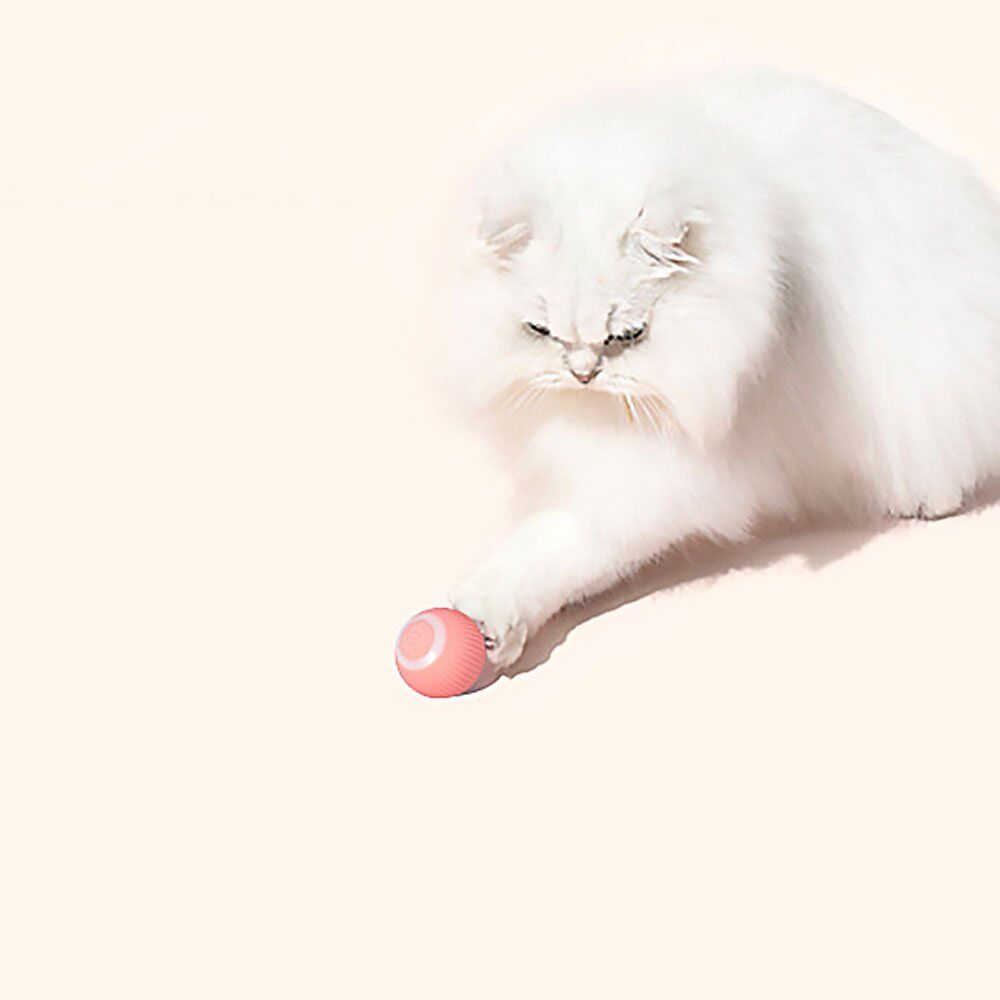 Power Ball 2.0 Cat Toy UK~